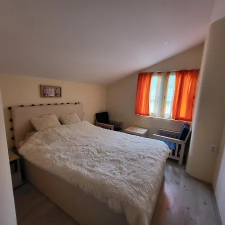 Nika 1